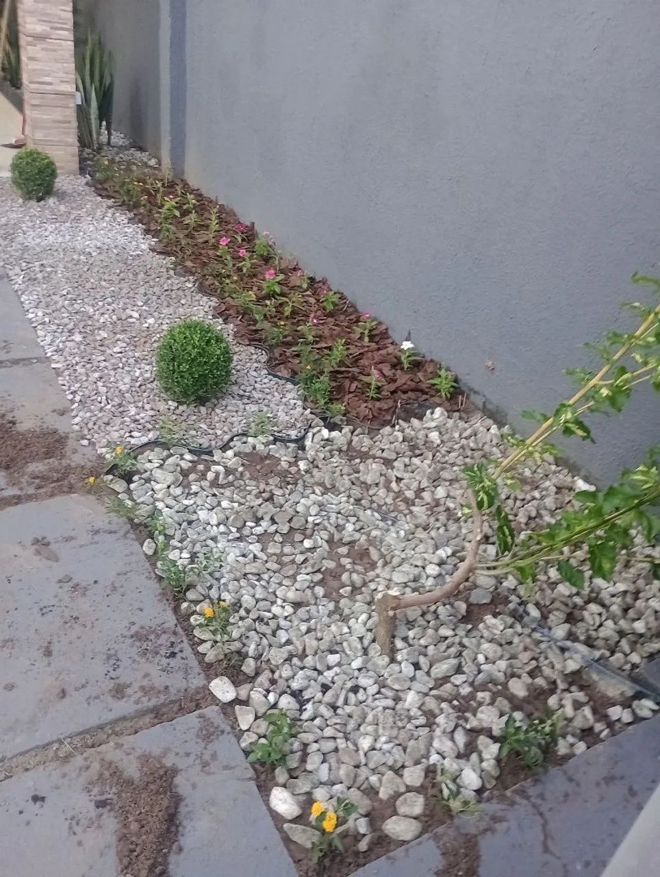 Jardineiro  - Foto 3