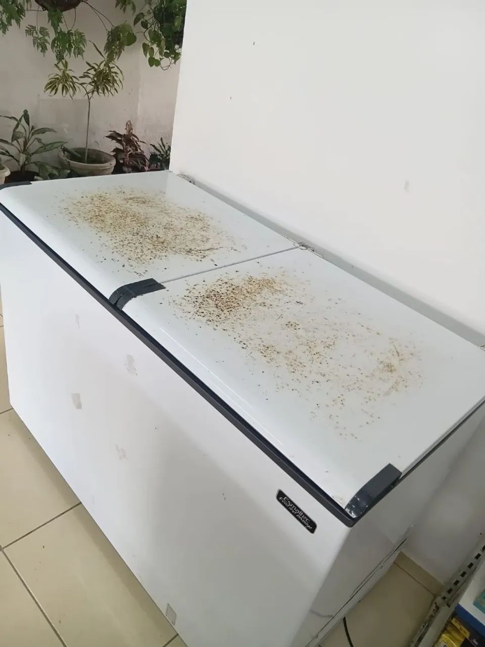  Freezer horizontal de 2 portas. - Foto 2