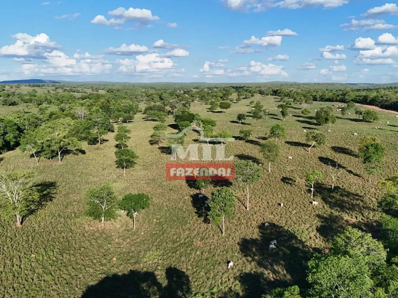 Fazenda 140 Alqueires (678 hectares) Araguaçu - TO - Foto 4