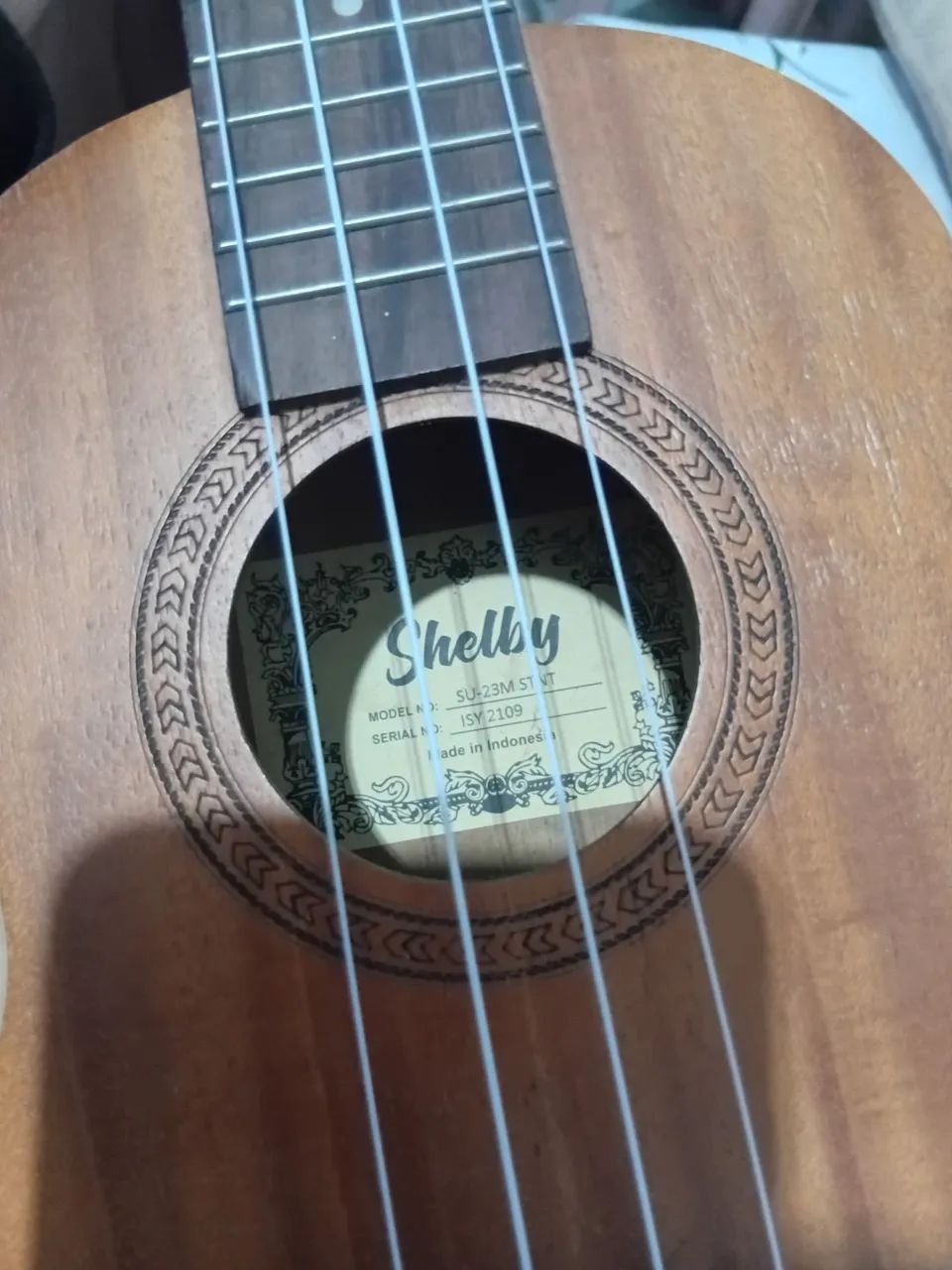 Ukulele Concert - Foto 2