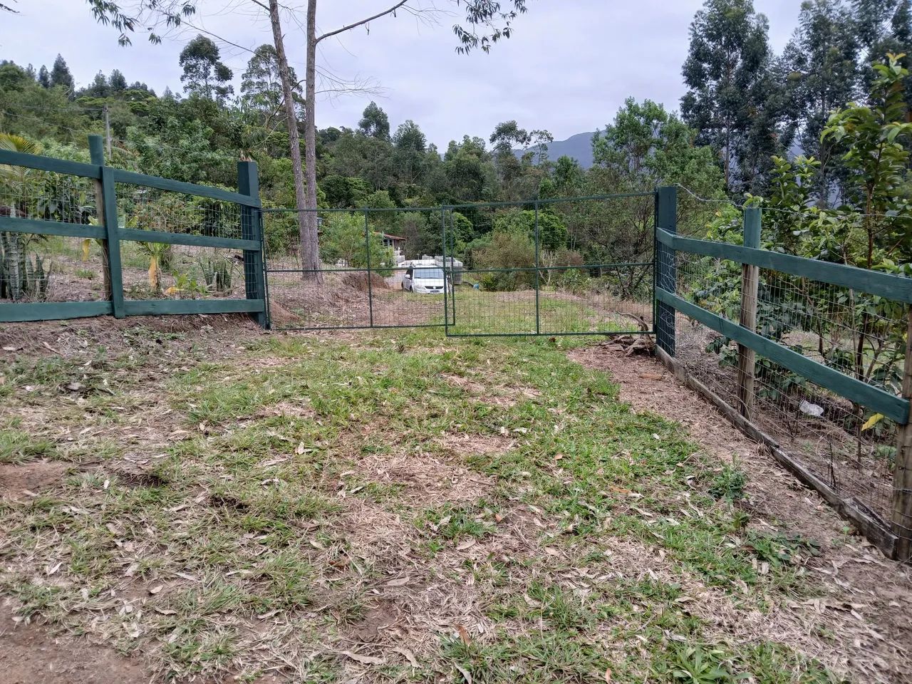 VENDO SITIO NO LARANJAL. IMARUI SC   - Foto 5