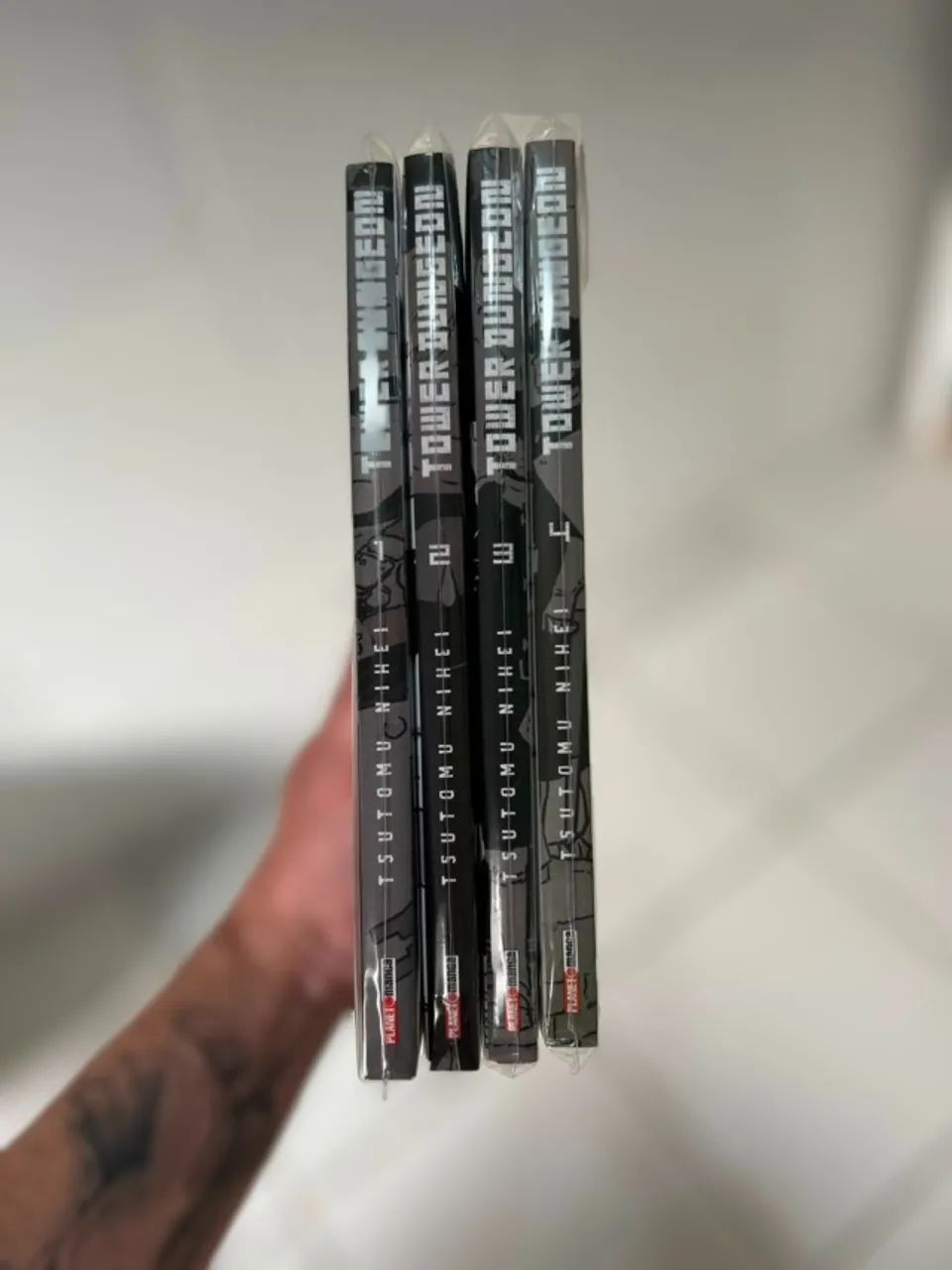 Mangá Tower Dungeon - Panini