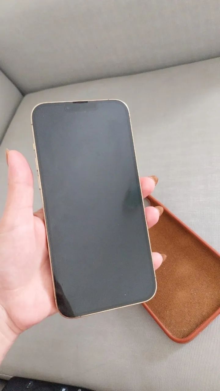 IPhone 13 Pro Max 128 GB