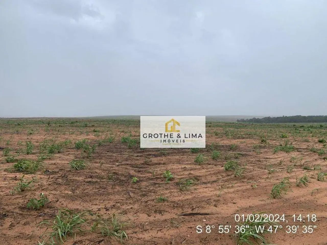 Fazenda à venda na Região de Pedro Afonso/TO. - Foto 2