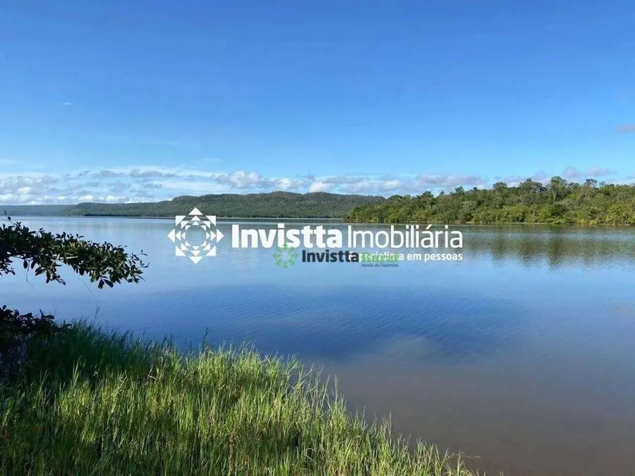 Fazenda de 200 alqueires com margem no Rio Tocantins e aptidão agrícola - Foto 4