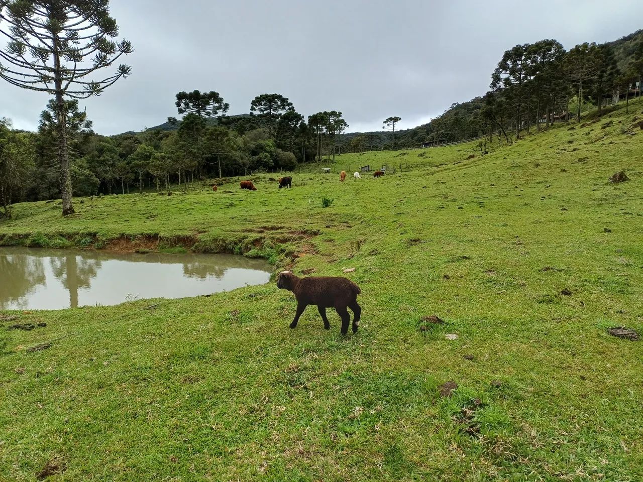 Vende-se Pousada com linda vista - Foto 4