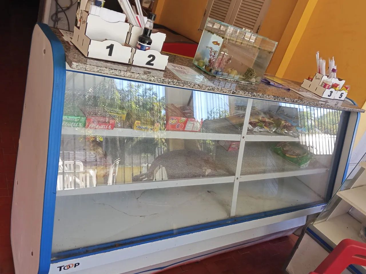 Freezer  Expositor