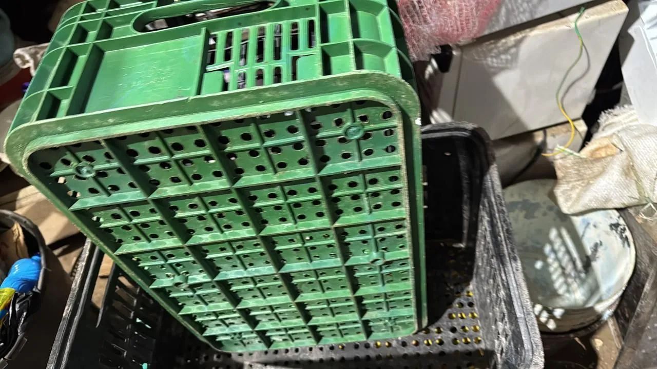 Caixas de frutas organizadora  - Foto 5