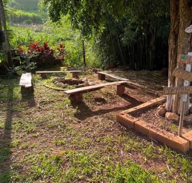 Sítio em Santa Bárbara do pará BM67 - Foto 3