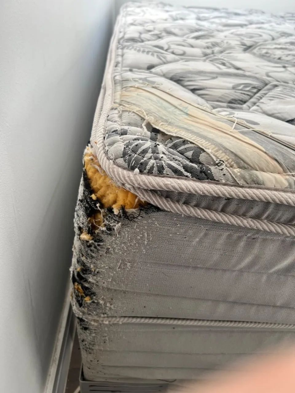 Cama de Casal - Foto 3