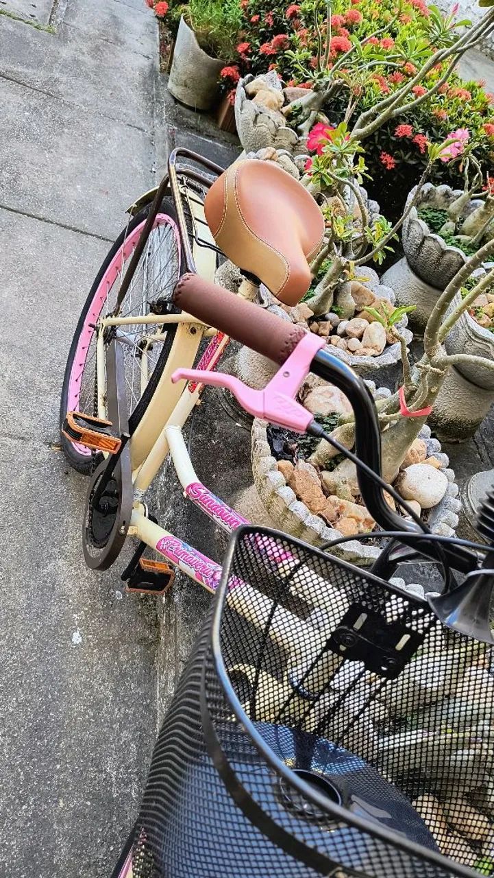 BICICLETA RETRÔ  - Foto 2