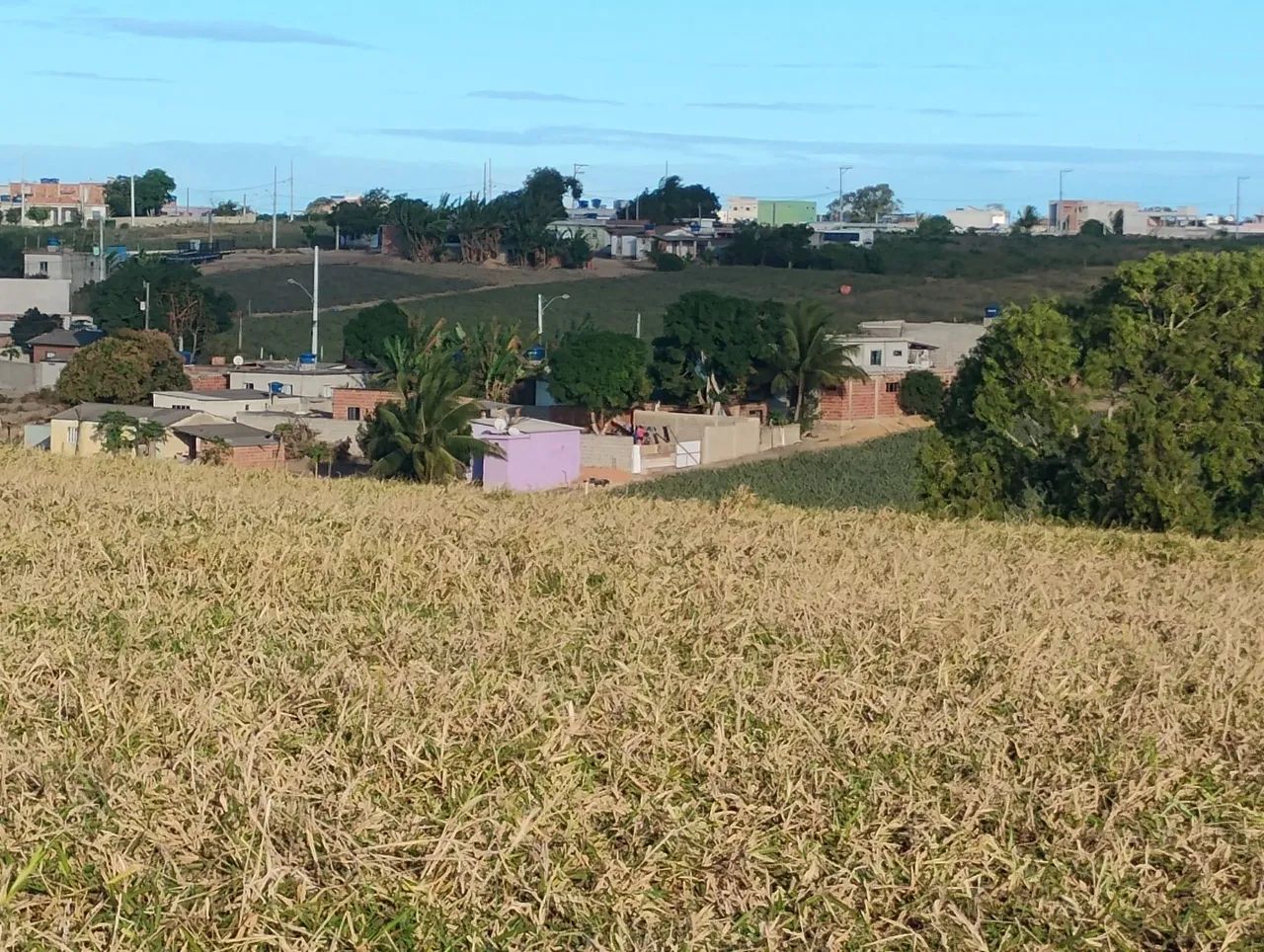 Terrenos na Praia  - Foto 5