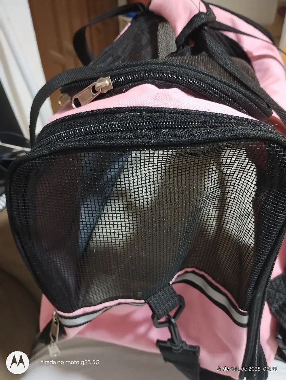 Bolsa de trasportar animal 