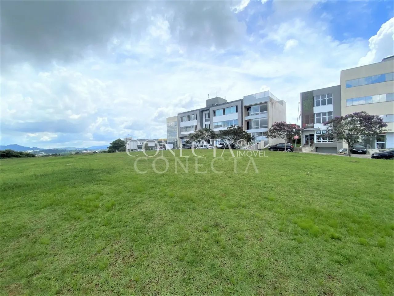 Comercial Burle Marx - Foto 2