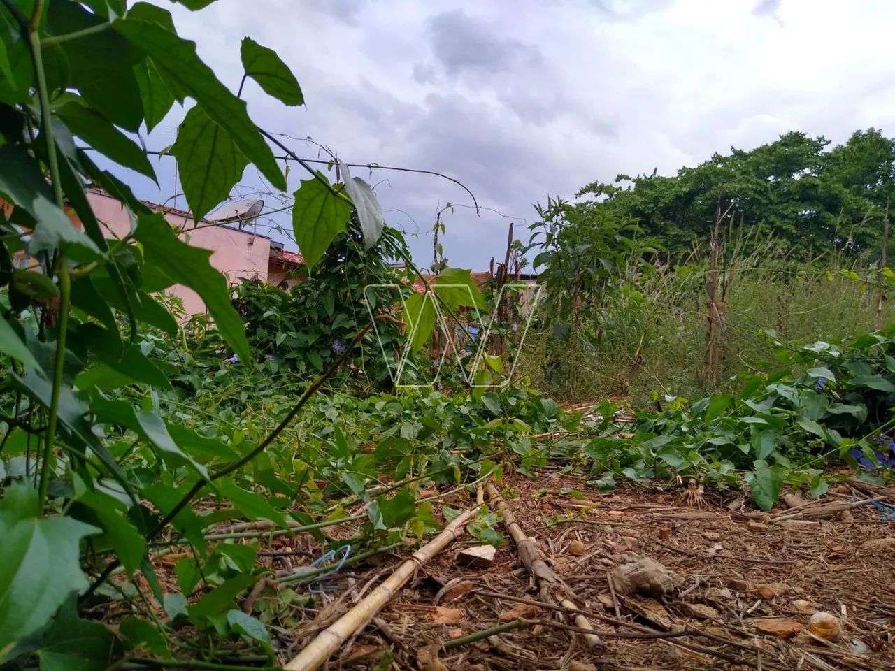 terreno - Sousas - Campinas