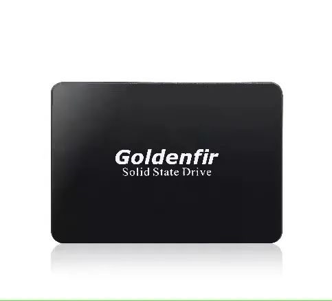 SSD Goldenfir 1 TB SATA