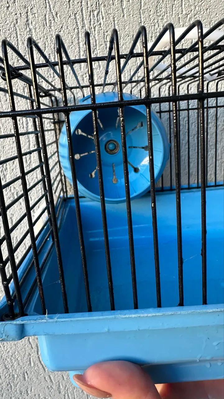DUAS Gaiolas para Hamster e Pequenos Roedores - Foto 3