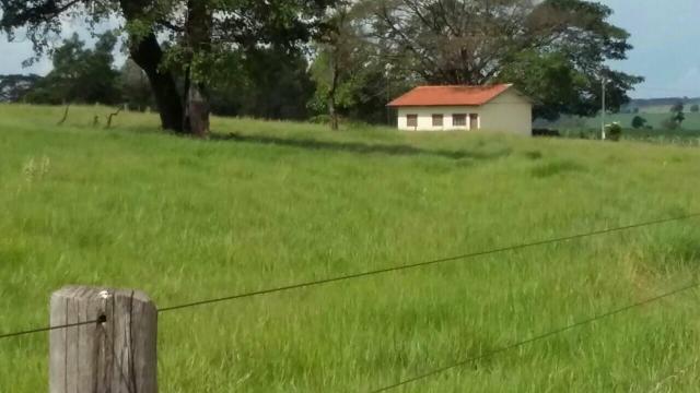 Sitio 5 alqueires formado e todo cercado