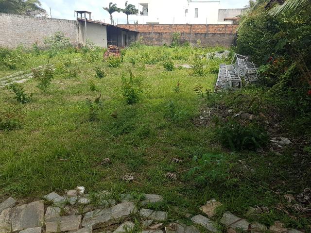 Terreno calhau - Foto 4
