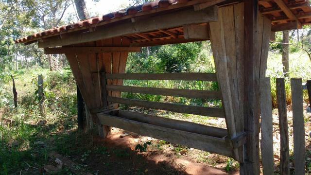 Vende-se um sítio beira de Rio Cuiaba 36 hec em Rosário Oeste