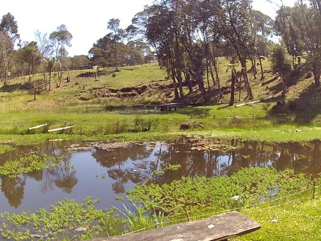 Chacara com 22.000m2 - Foto 10