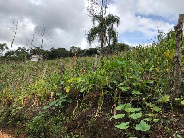 (Torro) Chácara em Bocaiuva do sul com 2.000 m² - Foto 4