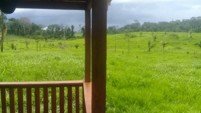 Vendo área de terra com com 15 cabeça de gado - Foto 2