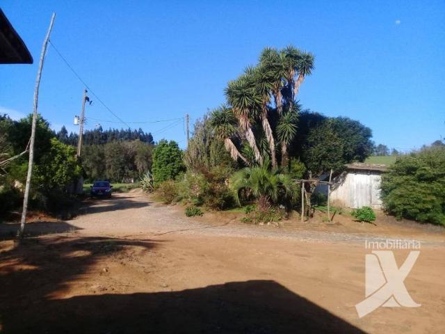 Chácara - venda, 176.055 m² por r$ 1.500.000 - botiatuva - - campo largo - pr - Foto 10