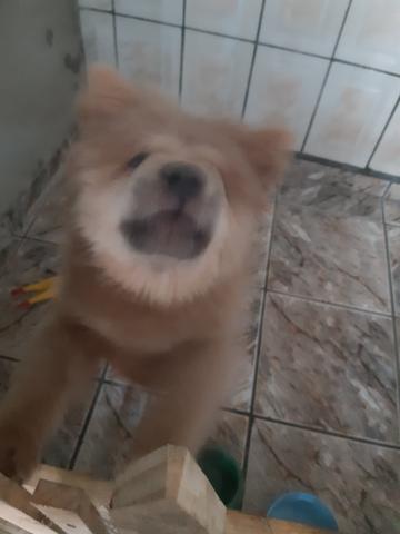 Vendo * - Foto 2