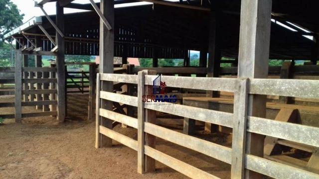 Fazenda à venda, por R$ 40.000.000 - Zona Rural - Rurópolis/Pará - Foto 7