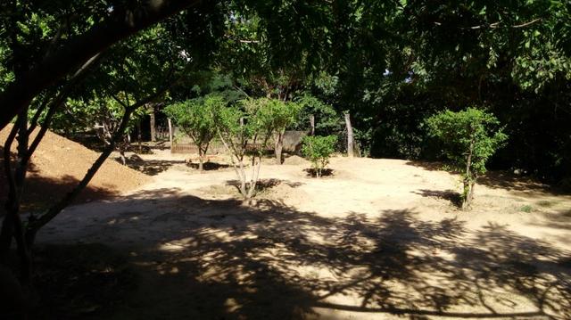 Casa/Rancho na beira do Rio Paranã - Foto 3