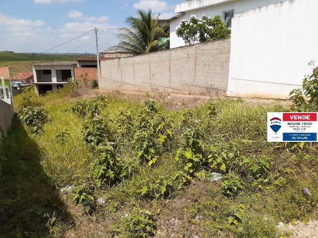 Terreno loteamento santa fé Nazaré da Mata - Foto 4