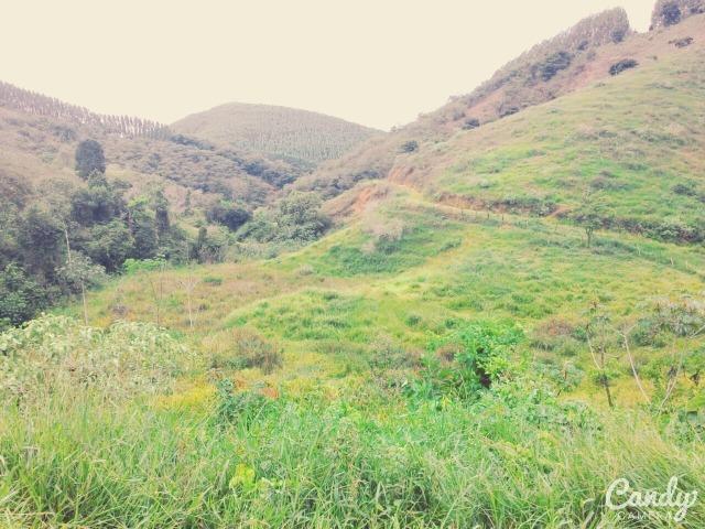 Fazenda Muito Boa na Região Veja a Descrição - Foto 14