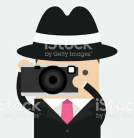 Investigador particular
