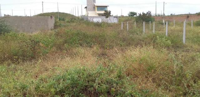 Excelente Terreno na Serra Negra em Bezerros - Foto 7
