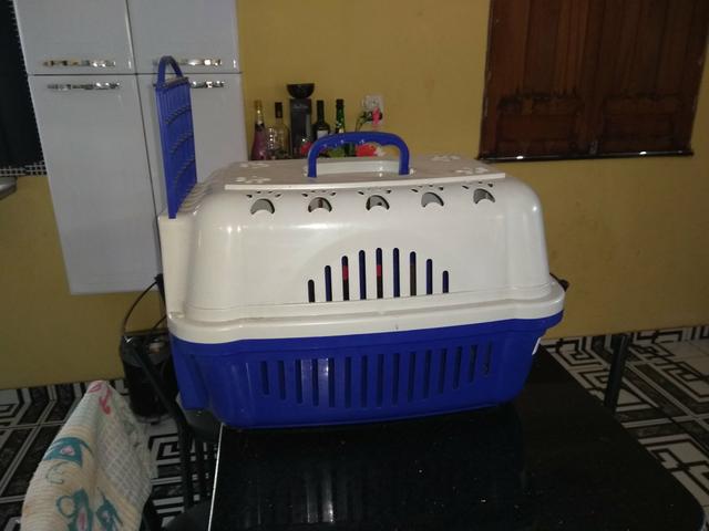 Casinha pra transportar cachorrinhos - Foto 3