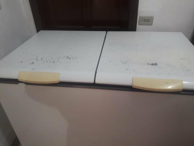 Vendo freezer - Foto 3