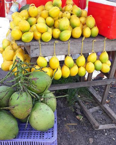 Mudas frutiferas - Foto 5
