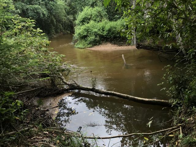 Oportunidade Venda Sítio/Rancho 46mil m2 em Aldeia Velha - Silva Jardim-RJ - Foto 5