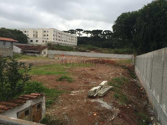 Terreno à venda em Boneca do iguaçu, São josé dos pinhais cod:93691-Moro