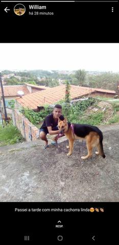 Procura se de um namorado urgente - Foto 2