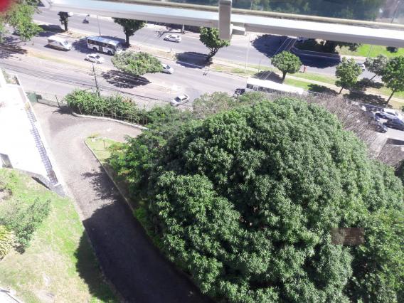 Apartamento, Federação, Salvador-BA - Foto 10