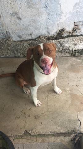 Doação - Foto 3