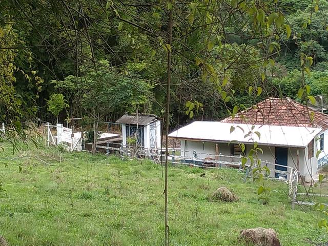 Sítio em Carvalhos Mg - Foto 4