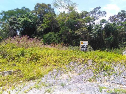 Terreno à venda em Saguaçú, Joinville cod:1404