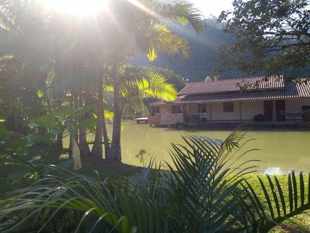Sítio tifa bom Jesus reflorestamento - Foto 8