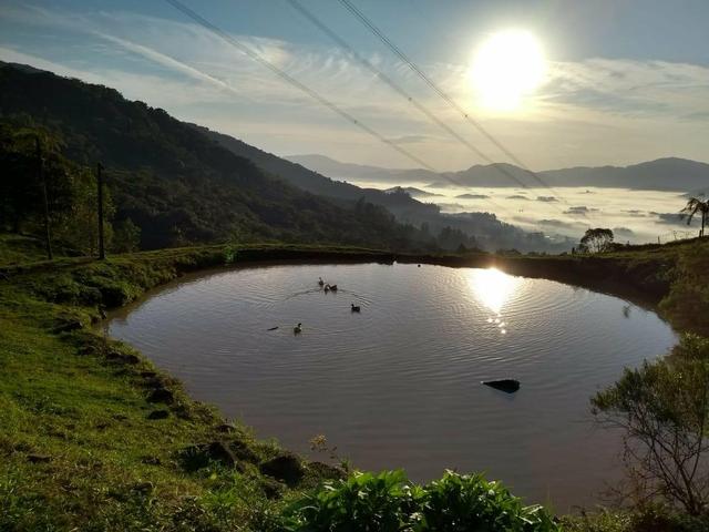 Sítio tifa bom Jesus reflorestamento - Foto 11