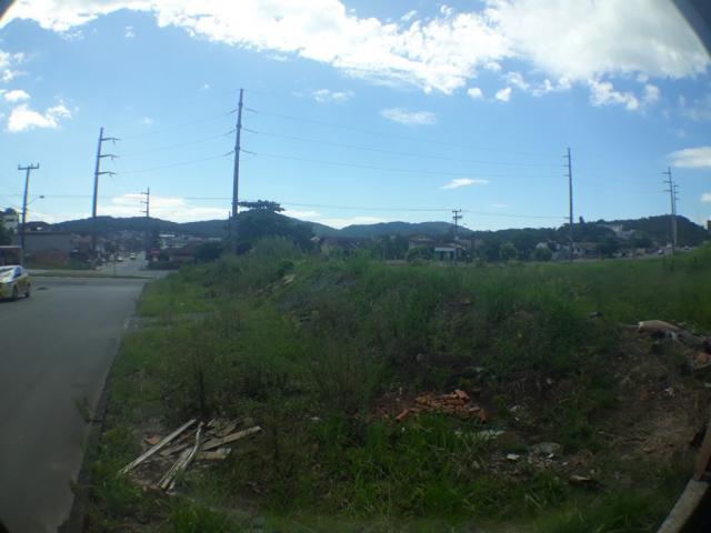 Terreno para alugar com 0 dormitórios em Itinga, Joinville cod:08720.001 - Foto 7