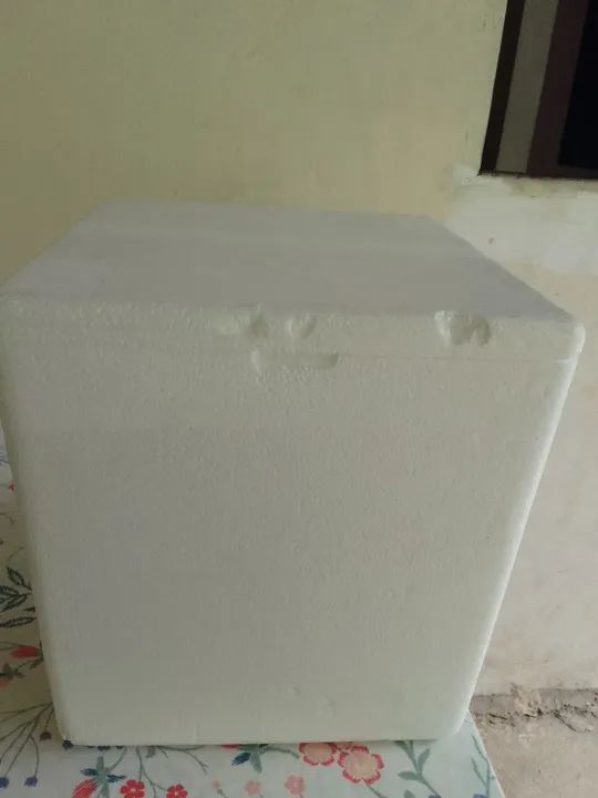 Caixa de isopor 1 - Foto 5