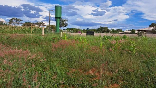 foto - Brasília - Ceilândia Norte (Ceilândia)